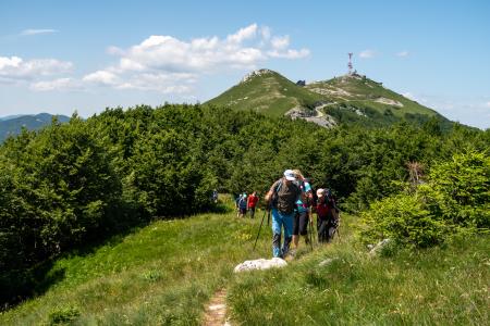 PPSS (40)_Guslica za nami